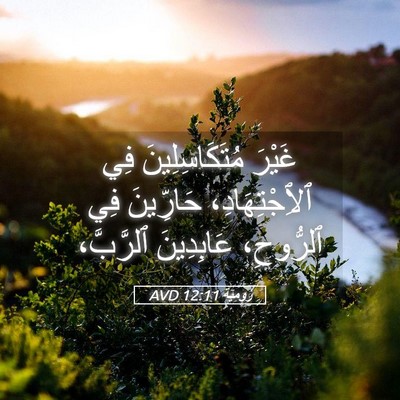 Picture 05 - رُومِيَةَ 12:11 AVD - غَيْرَ مُتَكَاسِلِينَ فِي - Bible Verse Picture