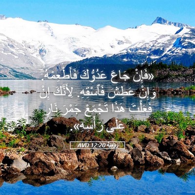 Picture 05 - رُومِيَةَ 12:20 AVD - «فَإِنْ جَاعَ عَدُوُّكَ - Bible Verse Picture