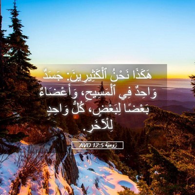 Picture 05 - رُومِيَةَ 12:5 AVD - هَكَذَا نَحْنُ - Bible Verse Picture
