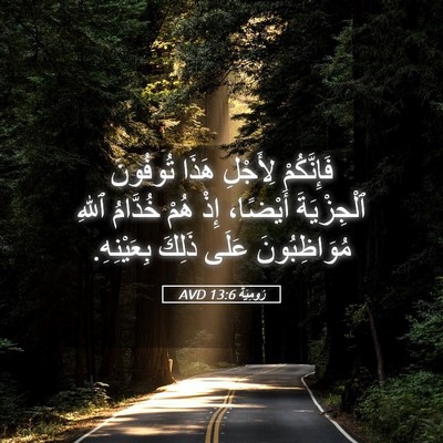 Picture 05 - رُومِيَةَ 13:6 AVD - فَإِنَّكُمْ لِأَجْلِ - Bible Verse Picture
