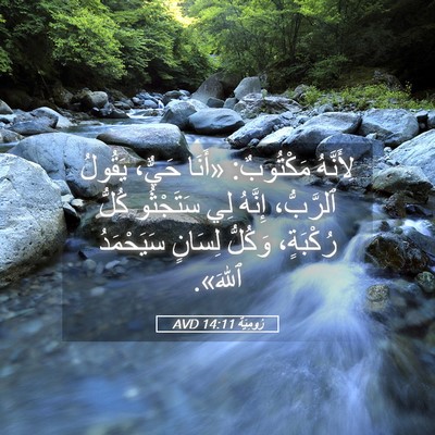 Picture 05 - رُومِيَةَ 14:11 AVD - لِأَنَّهُ مَكْتُوبٌ: - Bible Verse Picture