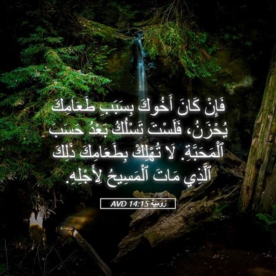 Picture 05 - رُومِيَةَ 14:15 AVD - فَإِنْ كَانَ أَخُوكَ - Bible Verse Picture