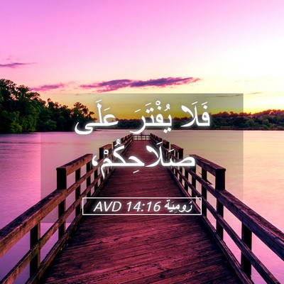 Picture 05 - رُومِيَةَ 14:16 AVD - فَلَا يُفْتَرَ عَلَى - Bible Verse Picture