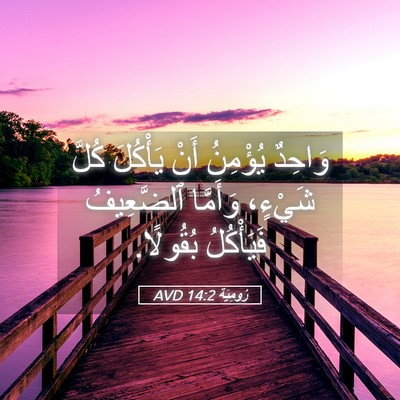Picture 05 - رُومِيَةَ 14:2 AVD - وَاحِدٌ يُؤْمِنُ أَنْ - Bible Verse Picture