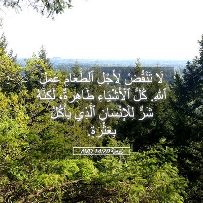 Picture 05 - رُومِيَةَ 14:20 AVD - لَا تَنْقُضْ لِأَجْلِ - Bible Verse Picture