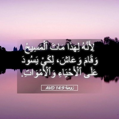 Picture 05 - رُومِيَةَ 14:9 AVD - لِأَنَّهُ لِهَذَا مَاتَ - Bible Verse Picture