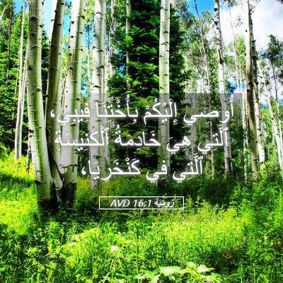Picture 05 - رُومِيَةَ 16:1 AVD - أُوصِي إِلَيْكُمْ - Bible Verse Picture