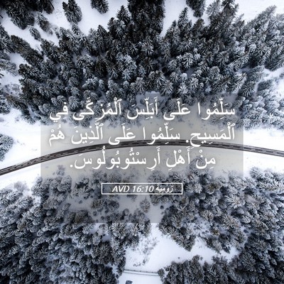 Picture 05 - رُومِيَةَ 16:10 AVD - سَلِّمُوا عَلَى أَبَلِّسَ - Bible Verse Picture