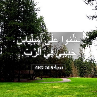 Picture 05 - رُومِيَةَ 16:8 AVD - سَلِّمُوا عَلَى - Bible Verse Picture