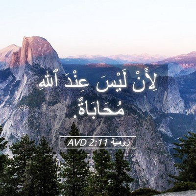 Picture 05 - رُومِيَةَ 2:11 AVD - لِأَنْ لَيْسَ عِنْدَ ٱللهِ - Bible Verse Picture
