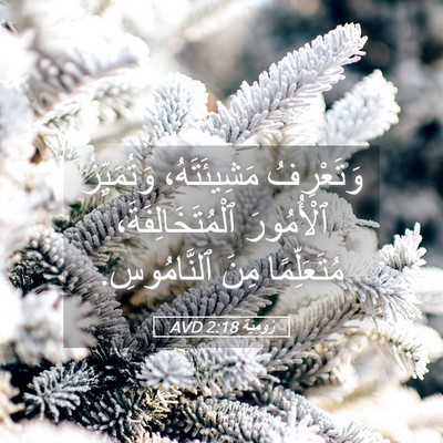 Picture 05 - رُومِيَةَ 2:18 AVD - وَتَعْرِفُ مَشِيئَتَهُ، - Bible Verse Picture