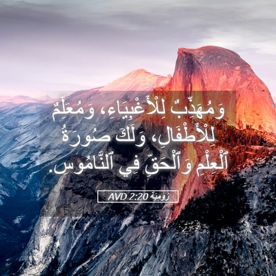 Picture 05 - رُومِيَةَ 2:20 AVD - وَمُهَذِّبٌ - Bible Verse Picture