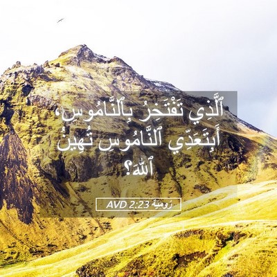 Picture 05 - رُومِيَةَ 2:23 AVD - ٱلَّذِي تَفْتَخِرُ - Bible Verse Picture