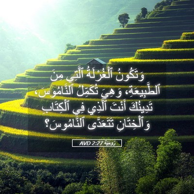 Picture 05 - رُومِيَةَ 2:27 AVD - وَتَكُونُ ٱلْغُرْلَةُ - Bible Verse Picture