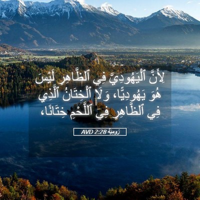 Picture 05 - رُومِيَةَ 2:28 AVD - لِأَنَّ ٱلْيَهُودِيَّ فِي - Bible Verse Picture