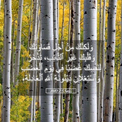 Picture 05 - رُومِيَةَ 2:5 AVD - وَلَكِنَّكَ مِنْ أَجْلِ - Bible Verse Picture