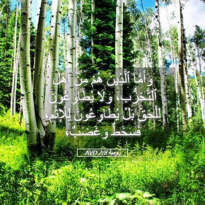 Picture 05 - رُومِيَةَ 2:8 AVD - وَأَمَّا ٱلَّذِينَ هُمْ - Bible Verse Picture