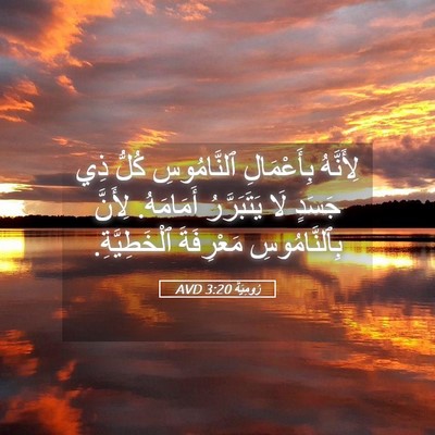 Picture 05 - رُومِيَةَ 3:20 AVD - لِأَنَّهُ بِأَعْمَالِ - Bible Verse Picture