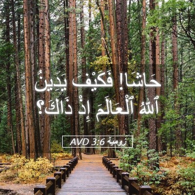 Picture 05 - رُومِيَةَ 3:6 AVD - حَاشَا! فَكَيْفَ يَدِينُ - Bible Verse Picture