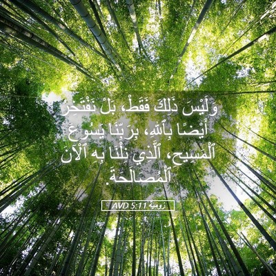 Picture 05 - رُومِيَةَ 5:11 AVD - وَلَيْسَ ذَلِكَ فَقَطْ، - Bible Verse Picture