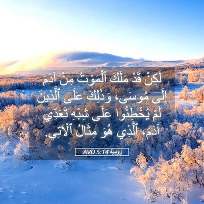Picture 05 - رُومِيَةَ 5:14 AVD - لَكِنْ قَدْ مَلَكَ - Bible Verse Picture