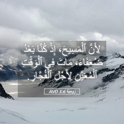 Picture 05 - رُومِيَةَ 5:6 AVD - لِأَنَّ ٱلْمَسِيحَ، إِذْ - Bible Verse Picture