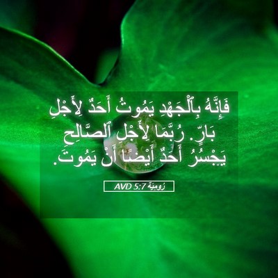 Picture 05 - رُومِيَةَ 5:7 AVD - فَإِنَّهُ بِٱلْجَهْدِ - Bible Verse Picture