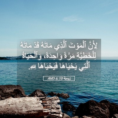 Picture 05 - رُومِيَةَ 6:10 AVD - لِأَنَّ ٱلْمَوْتَ ٱلَّذِي - Bible Verse Picture
