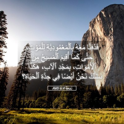 Picture 05 - رُومِيَةَ 6:4 AVD - فَدُفِنَّا مَعَهُ - Bible Verse Picture