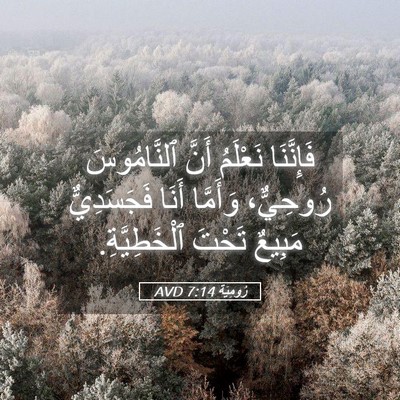 Picture 05 - رُومِيَةَ 7:14 AVD - فَإِنَّنَا نَعْلَمُ أَنَّ - Bible Verse Picture