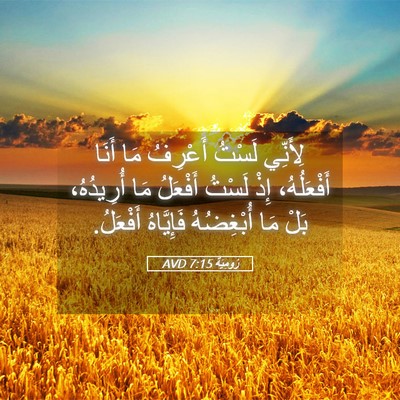 Picture 05 - رُومِيَةَ 7:15 AVD - لِأَنِّي لَسْتُ أَعْرِفُ - Bible Verse Picture