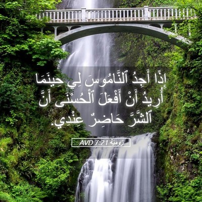 Picture 05 - رُومِيَةَ 7:21 AVD - إِذًا أَجِدُ ٱلنَّامُوسَ - Bible Verse Picture