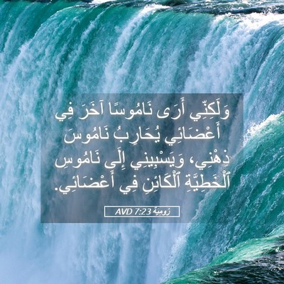 Picture 05 - رُومِيَةَ 7:23 AVD - وَلَكِنِّي أَرَى - Bible Verse Picture