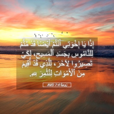Picture 05 - رُومِيَةَ 7:4 AVD - إِذًا يَا إِخْوَتِي - Bible Verse Picture