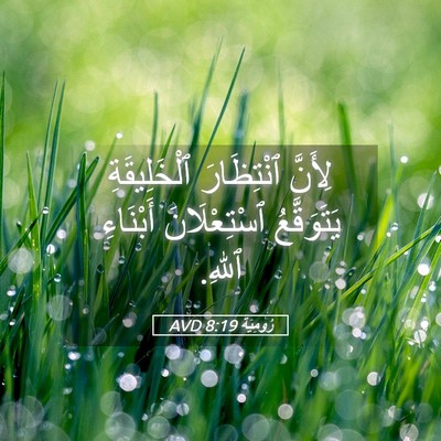 Picture 05 - رُومِيَةَ 8:19 AVD - لِأَنَّ ٱنْتِظَارَ - Bible Verse Picture