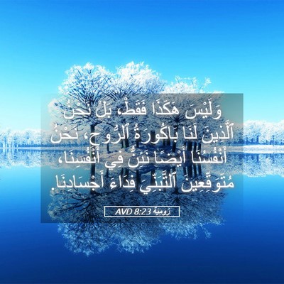 Picture 05 - رُومِيَةَ 8:23 AVD - وَلَيْسَ هَكَذَا فَقَطْ، - Bible Verse Picture