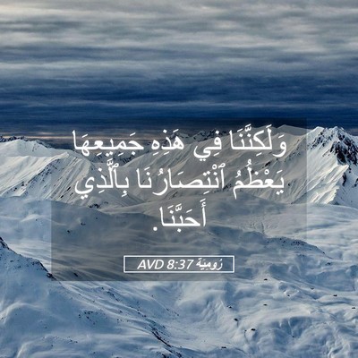 Picture 05 - رُومِيَةَ 8:37 AVD - وَلَكِنَّنَا فِي هَذِهِ - Bible Verse Picture