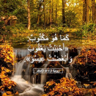 Picture 05 - رُومِيَةَ 9:13 AVD - كَمَا هُوَ مَكْتُوبٌ: - Bible Verse Picture