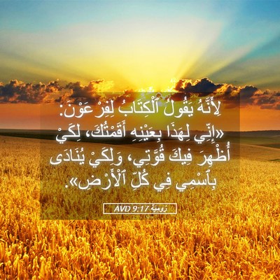 Picture 05 - رُومِيَةَ 9:17 AVD - لِأَنَّهُ يَقُولُ - Bible Verse Picture