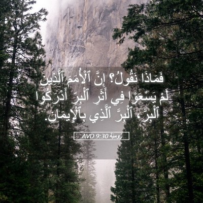 Picture 05 - رُومِيَةَ 9:30 AVD - فَمَاذَا نَقُولُ؟ إِنَّ - Bible Verse Picture
