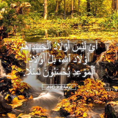 Picture 05 - رُومِيَةَ 9:8 AVD - أَيْ لَيْسَ أَوْلَادُ - Bible Verse Picture