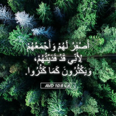 Picture 05 - زَكَريَّا 10:8 AVD - أَصْفِرُ لَهُمْ - Bible Verse Picture
