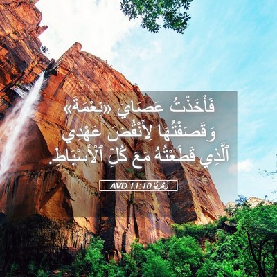 Picture 05 - زَكَريَّا 11:10 AVD - فَأَخَذْتُ عَصَايَ - Bible Verse Picture