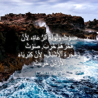 Picture 05 - زَكَريَّا 11:3 AVD - صَوْتُ وَلْوَلَةِ - Bible Verse Picture