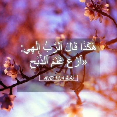 Picture 05 - زَكَريَّا 11:4 AVD - هَكَذَا قَالَ ٱلرَّبُّ - Bible Verse Picture