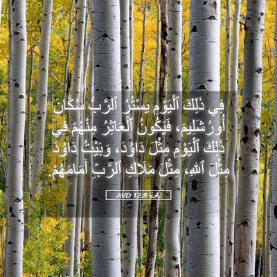 Picture 05 - زَكَريَّا 12:8 AVD - فِي ذَلِكَ ٱلْيَوْمِ - Bible Verse Picture