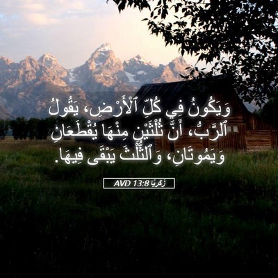 Picture 05 - زَكَريَّا 13:8 AVD - وَيَكُونُ فِي كُلِّ - Bible Verse Picture