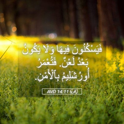 Picture 05 - زَكَريَّا 14:11 AVD - فَيَسْكُنُونَ فِيهَا - Bible Verse Picture