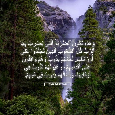 Picture 05 - زَكَريَّا 14:12 AVD - وَهَذِهِ تَكُونُ - Bible Verse Picture