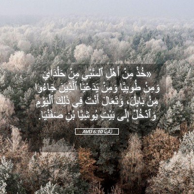 Picture 05 - زَكَريَّا 6:10 AVD - «خُذْ مِنْ أَهْلِ - Bible Verse Picture